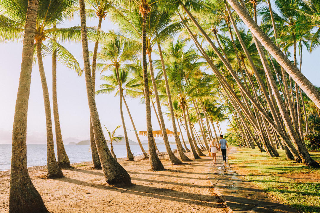 Palm Coveimage - 1